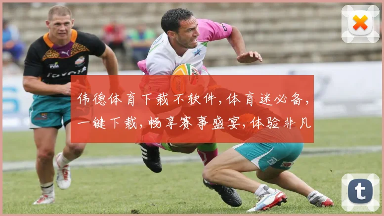 伟德体育下载不软件,体育迷必备,一键下载,畅享赛事盛宴,体验非凡