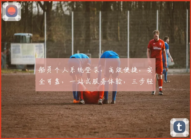 船员个人系统登录，高效便捷，安全可靠，一站式服务体验，三步轻松搞定