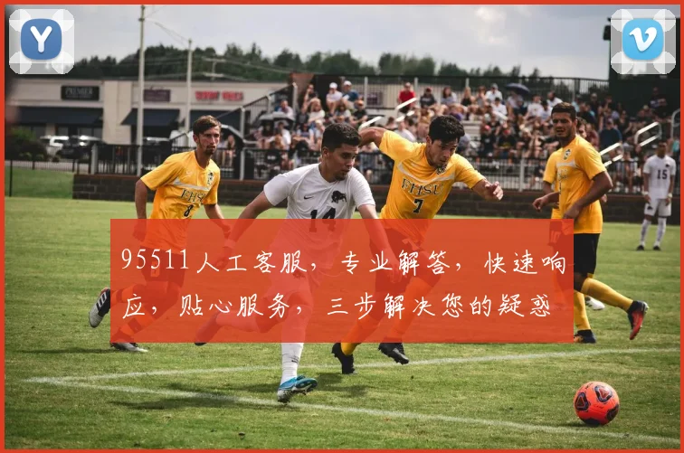 95511人工客服，专业解答，快速响应，贴心服务，三步解决您的疑惑，尽享无忧体验