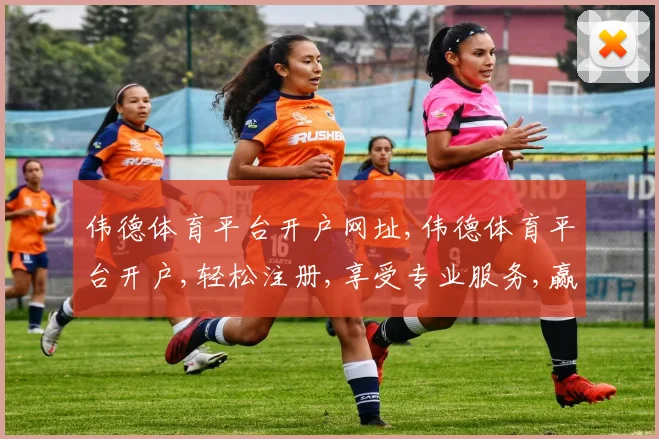 伟德体育平台开户网址,伟德体育平台开户,轻松注册,享受专业服务,赢取丰厚回报,一网打尽