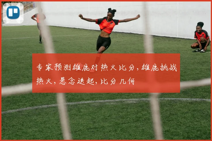 专家预测雄鹿对热火比分,雄鹿挑战热火,悬念迭起,比分几何
