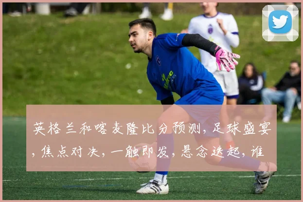 英格兰和喀麦隆比分预测,足球盛宴,焦点对决,一触即发,悬念迭起,谁将问鼎
