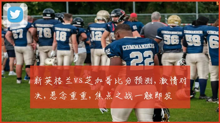 新英格兰vs芝加哥比分预测,激情对决,悬念重重,焦点之战一触即发